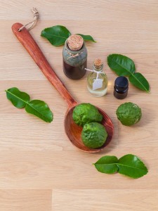 essential oil sanctuary (1)