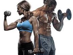 fit body