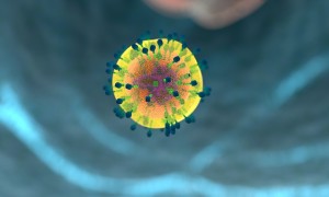 cell