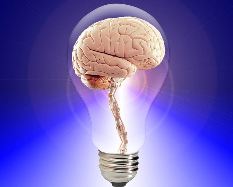 icon of a bulb with a brain inside