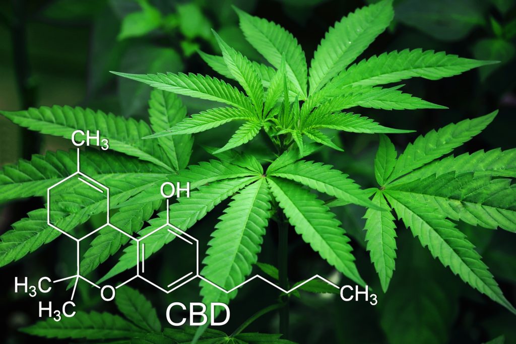 weed