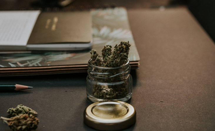 cannabis